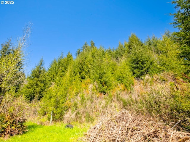66756 Waymire Rd, North Bend, OR 97459 - view of nature