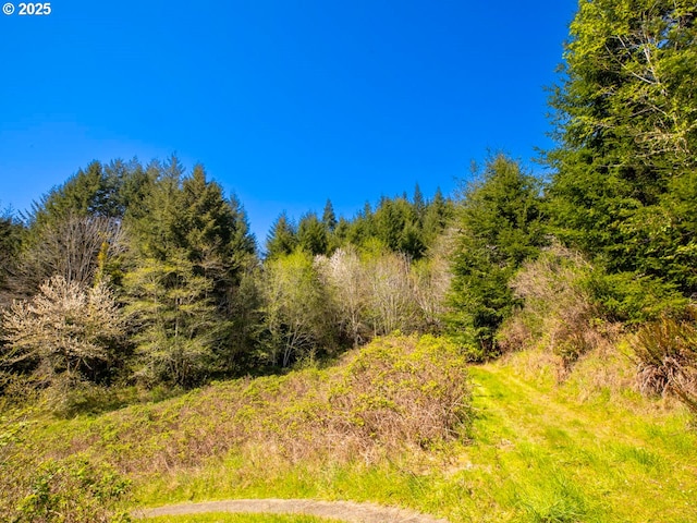 66756 Waymire Rd, North Bend, OR 97459 - view of nature
