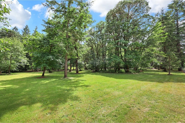 24780 Lavell Rd, Junction City, OR 97448 - view of grassy yard