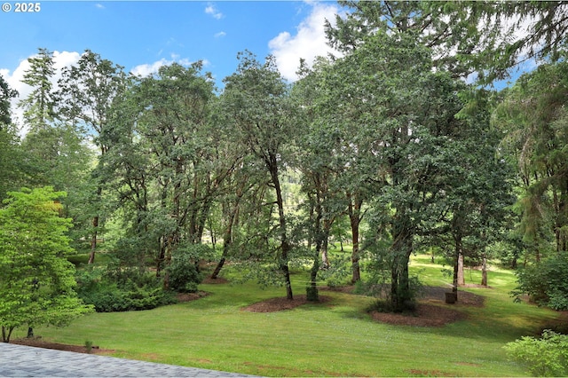 24780 Lavell Rd, Junction City, OR 97448 - view of grassy yard