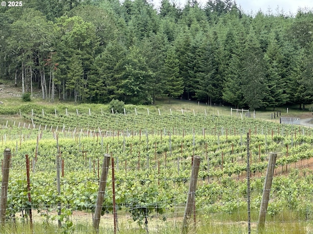 24780 Lavell Rd, Junction City, OR 97448 - view of yard featuring a garden, a view of rural / pastoral area, and a forest view