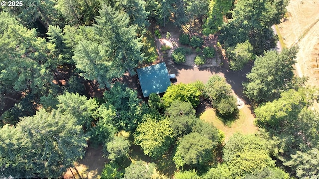 24780 Lavell Rd, Junction City, OR 97448 - bird's eye view