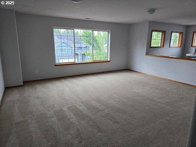12174 SW Quail Creek Ln, Portland, OR 97223 - carpeted spare room with plenty of natural light