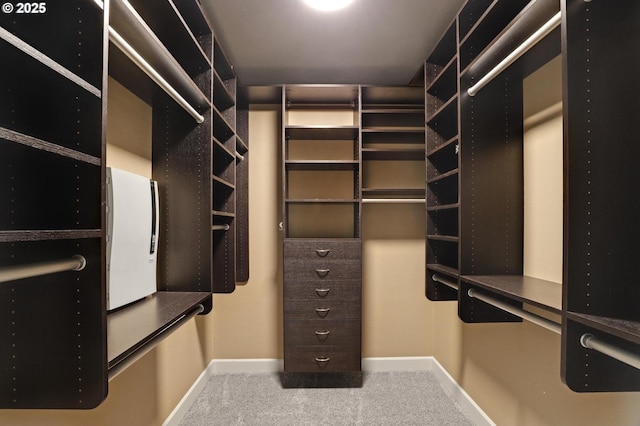850 NW 114th Ave, Portland, OR 97229 - walk in closet featuring carpet flooring