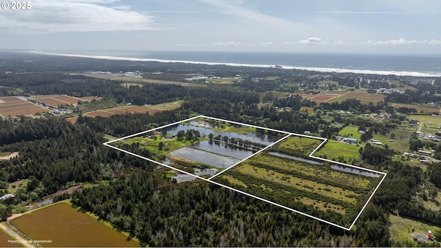 54601 Winterberry Dr, Bandon, OR 97411 - aerial view of property and surrounding area with property parcel outlined, a large body of water, and a forest