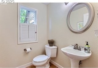 half bathroom featuring toilet, baseboards, and a sink