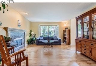 living room featuring light hardwood / wood-style flooring