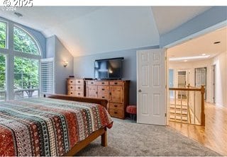 bedroom with lofted ceiling and wood finished floors