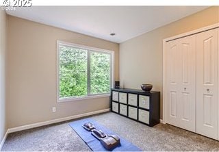 workout area with baseboards and carpet flooring