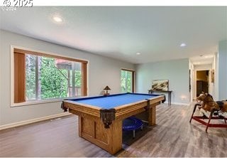 playroom with wood finished floors, baseboards, and a wealth of natural light