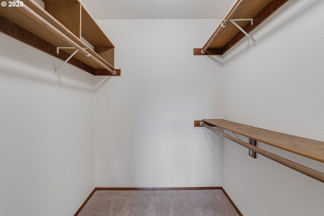 10915 SW Meadowbrook Dr Unit 22, Portland, OR 97224 - walk in closet featuring carpet floors