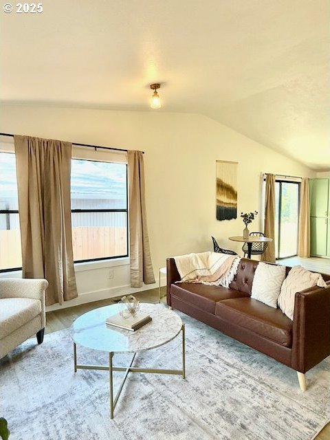 living room with lofted ceiling and wood-type flooring