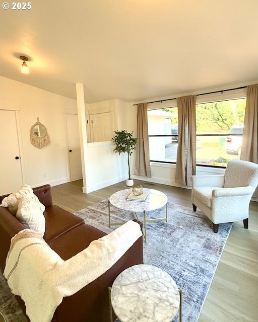 living room with hardwood / wood-style flooring