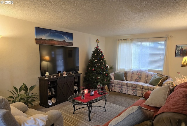 carpeted living room with a textured ceiling