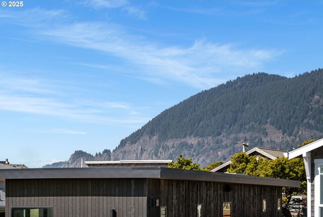 8917 Spindrift Ln, Manzanita, OR 97130 - mountain view
