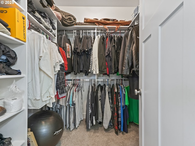 924 Park St, Sweet Home, OR 97386 - spacious closet featuring carpet flooring
