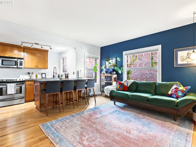 living room with sink, track lighting, and light wood-type flooring