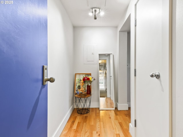 hallway featuring light hardwood / wood-style flooring