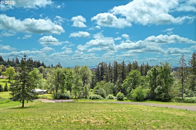11440 NW Rock Creek Rd, Portland, OR 97231 - view of green lawn