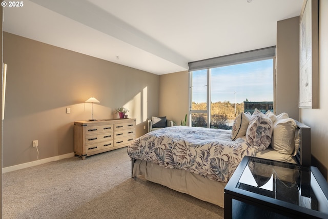 bedroom with carpet floors and expansive windows