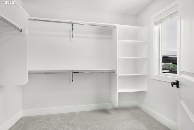 walk in closet with light carpet