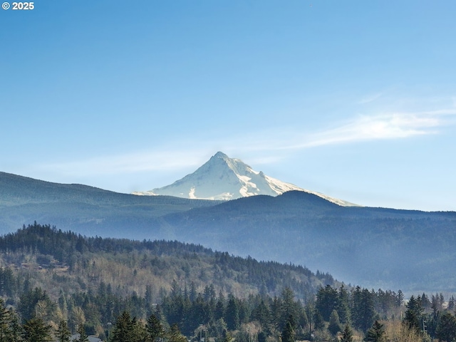 view of mountain feature