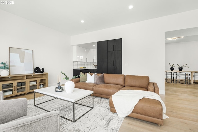 living room featuring light hardwood / wood-style floors