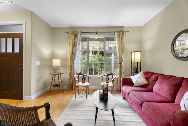 living room featuring light hardwood / wood-style floors