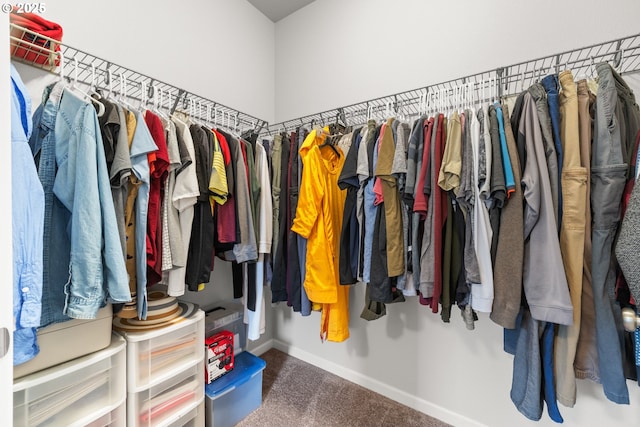 9414 NE 166th Ave, Vancouver, WA 98682 - walk in closet featuring carpet