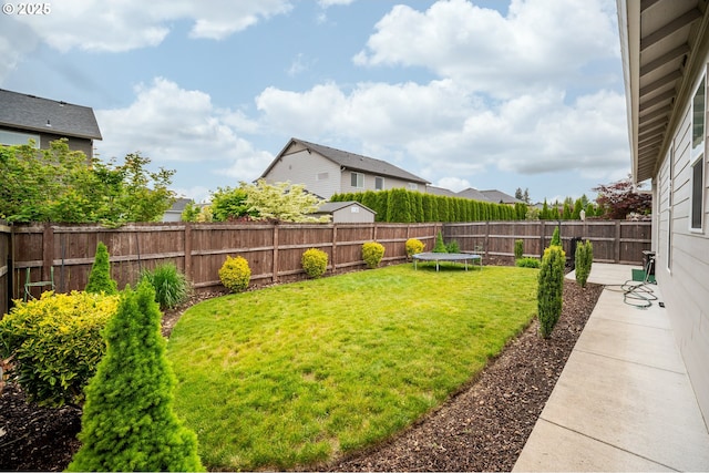 9414 NE 166th Ave, Vancouver, WA 98682 - view of yard featuring a trampoline