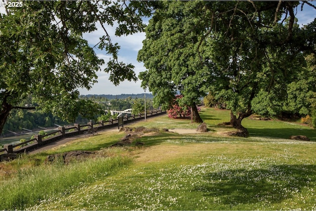 view of home's community with a yard