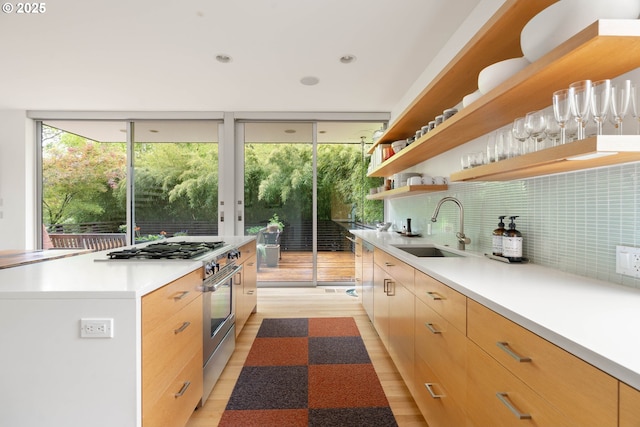 435 N Shaver St, Portland, OR 97227 - kitchen with high end stainless steel range oven, a sink, open shelves, tasteful backsplash, and light countertops