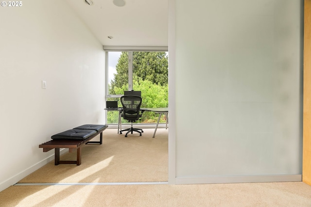 435 N Shaver St, Portland, OR 97227 - hallway with carpet, healthy amount of natural light, a wall of windows, an office area, and baseboards