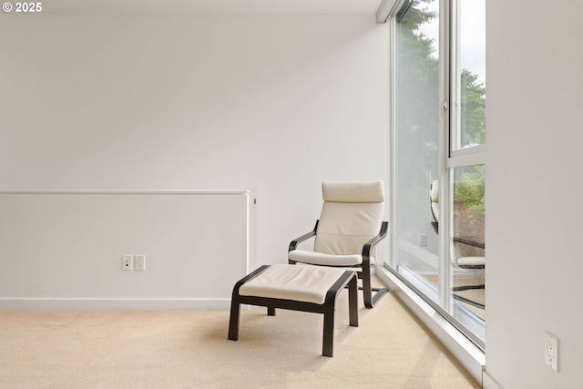 435 N Shaver St, Portland, OR 97227 - living area featuring carpet