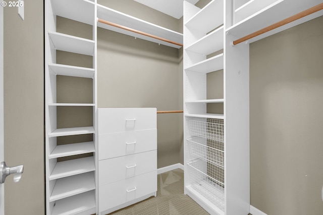 spacious closet with carpet