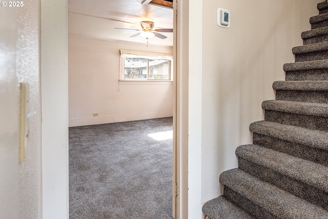 stairs with baseboards, ceiling fan, and carpet flooring