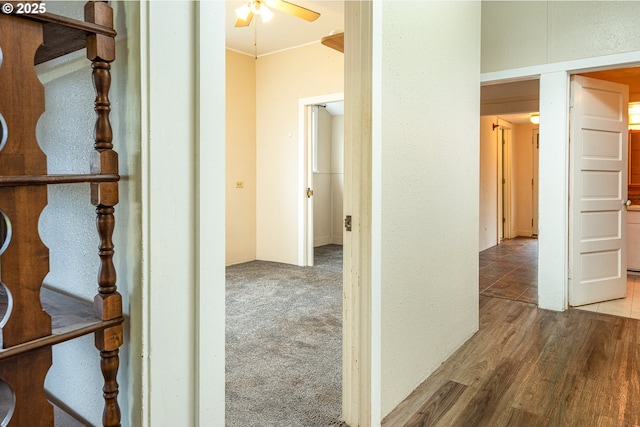 hallway featuring carpet and wood finished floors