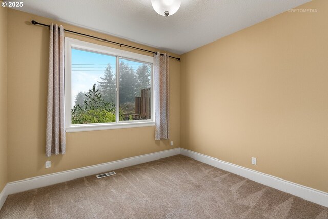 empty room featuring plenty of natural light and carpet floors