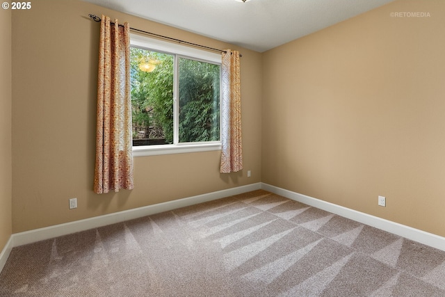 spare room with carpet floors and plenty of natural light