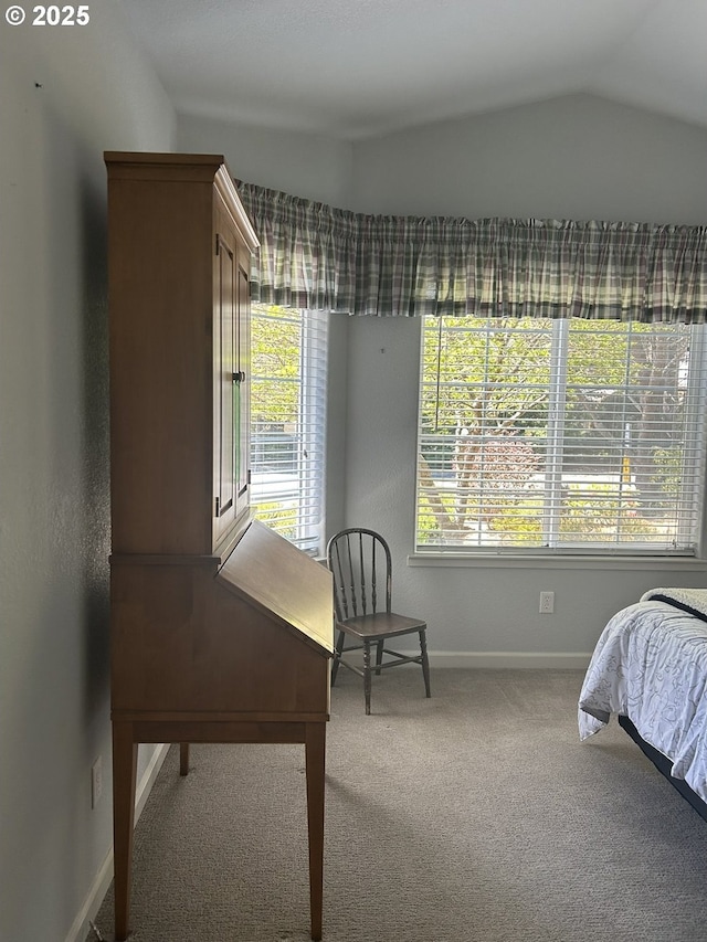 carpeted bedroom featuring baseboards and vaulted ceiling