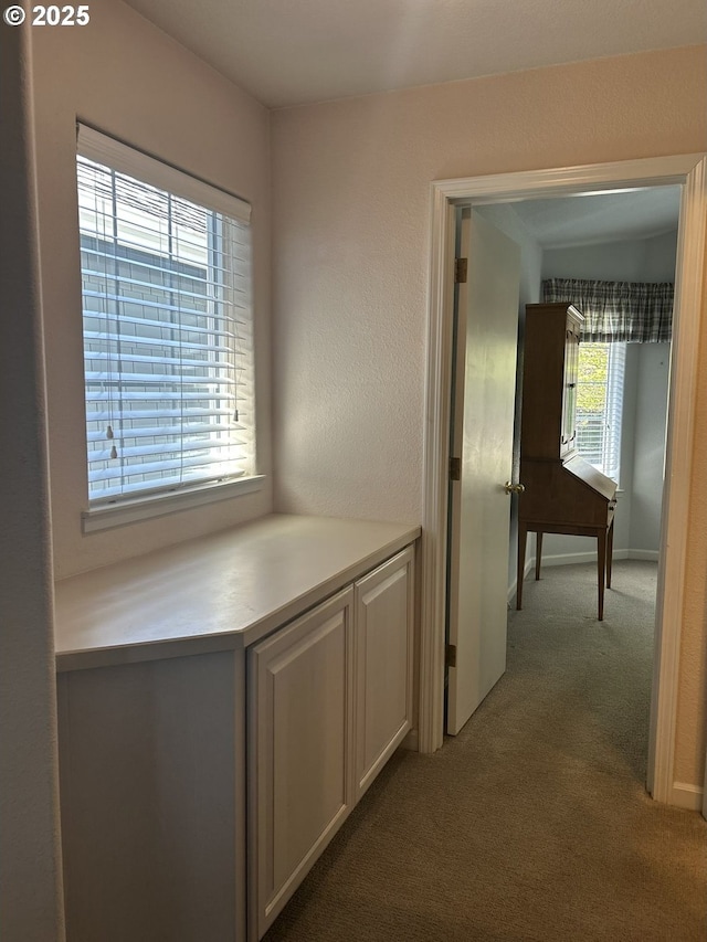 hall featuring carpet flooring