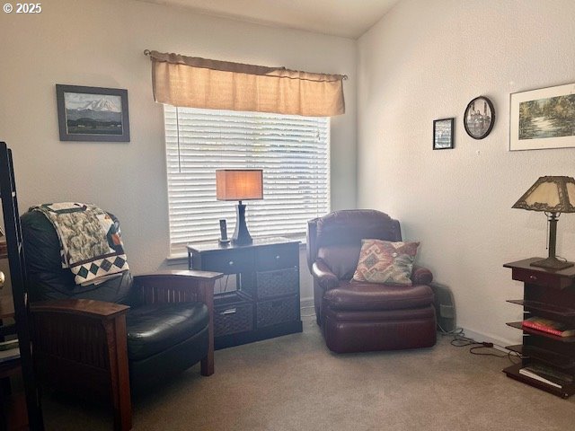 living area featuring carpet floors