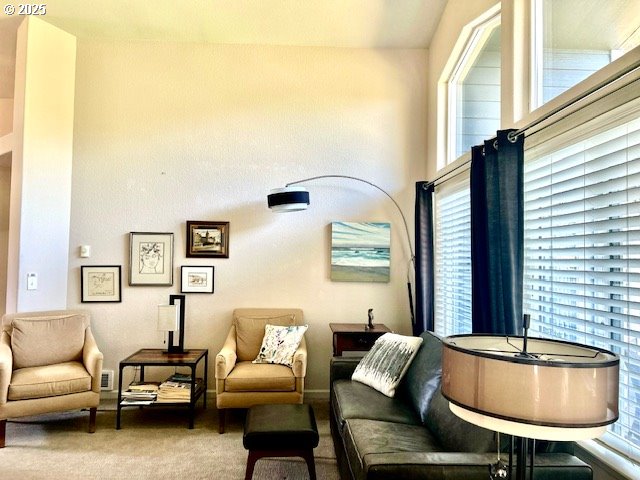 sitting room with carpet