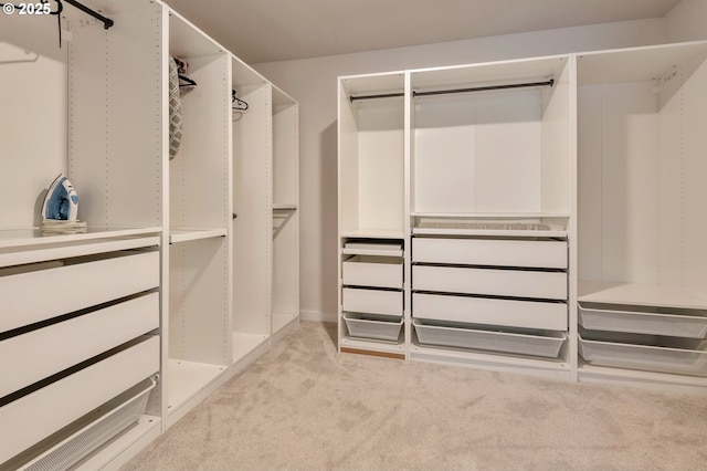 spacious closet with light colored carpet