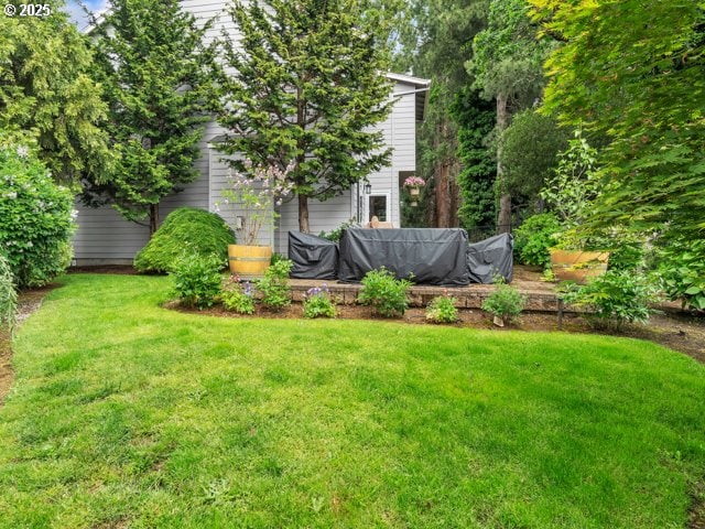 view of green lawn