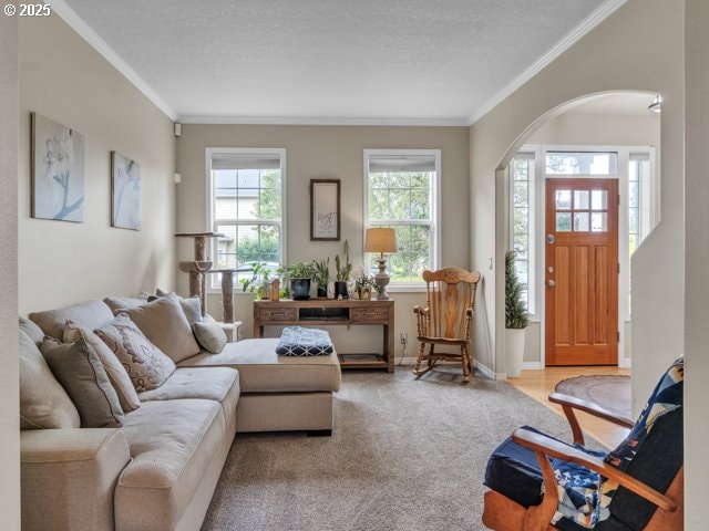 living room featuring crown molding, arched walkways, carpet floors, baseboards, and a textured ceiling