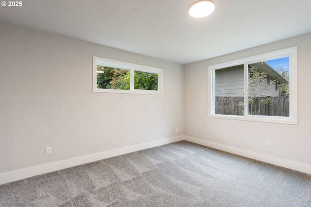 unfurnished room featuring carpet