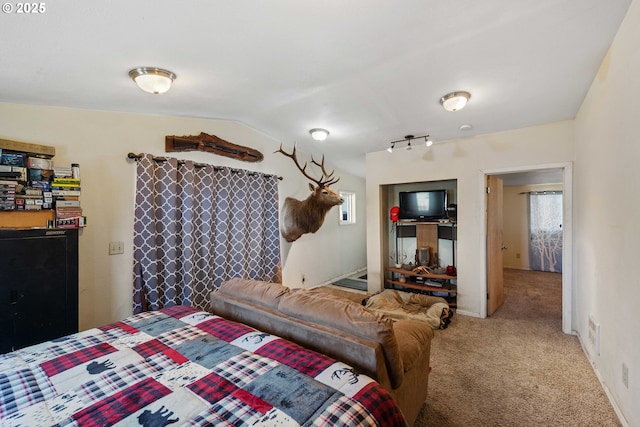 bedroom with carpet floors, multiple windows, and vaulted ceiling