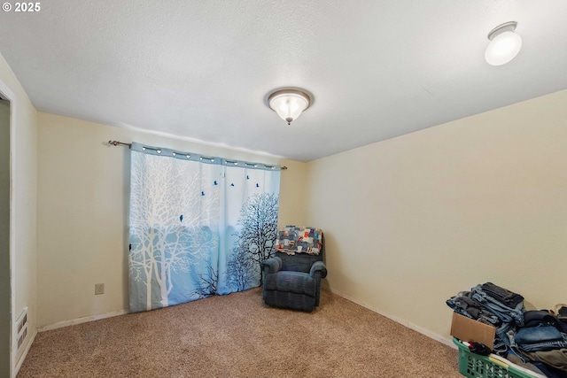 unfurnished room with carpet