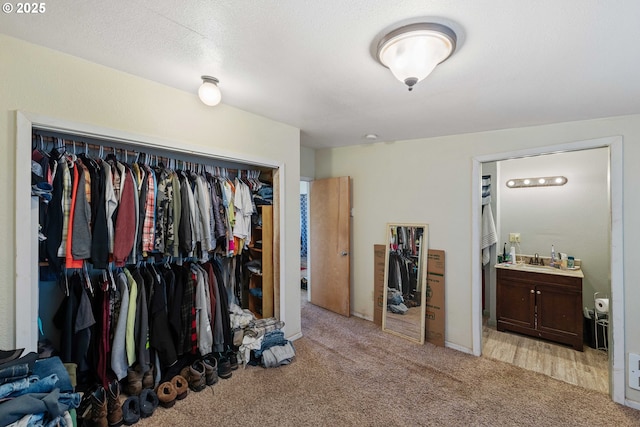 spacious closet featuring light carpet and a sink